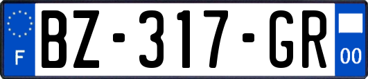 BZ-317-GR