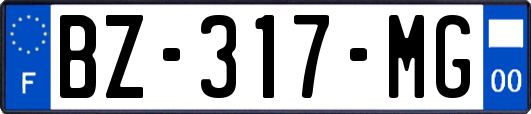 BZ-317-MG