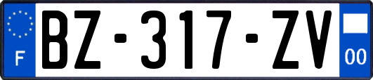 BZ-317-ZV
