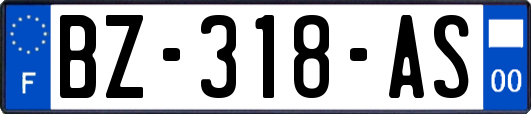 BZ-318-AS