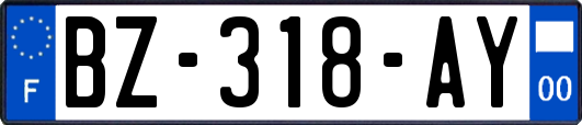 BZ-318-AY