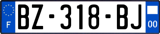 BZ-318-BJ