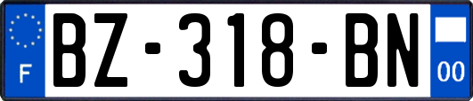 BZ-318-BN