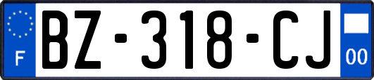 BZ-318-CJ