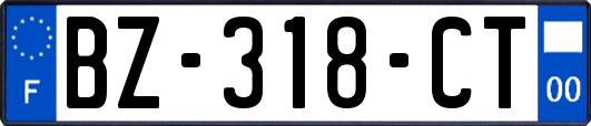 BZ-318-CT