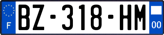 BZ-318-HM