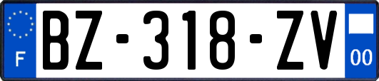 BZ-318-ZV