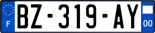 BZ-319-AY