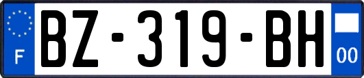 BZ-319-BH