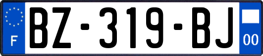 BZ-319-BJ