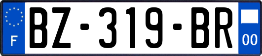 BZ-319-BR