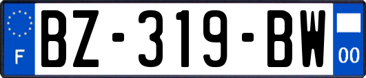 BZ-319-BW