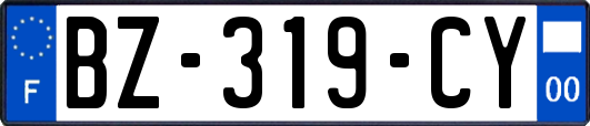 BZ-319-CY