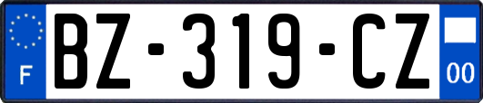 BZ-319-CZ