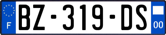 BZ-319-DS