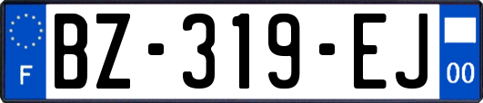 BZ-319-EJ