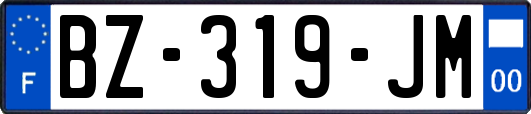 BZ-319-JM