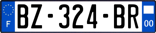 BZ-324-BR