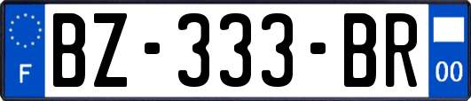 BZ-333-BR