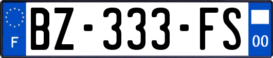 BZ-333-FS