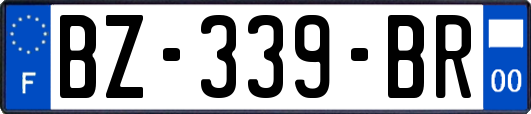 BZ-339-BR