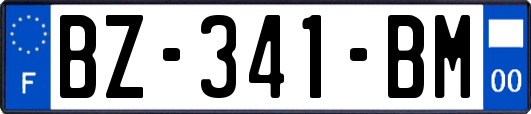 BZ-341-BM