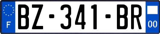 BZ-341-BR