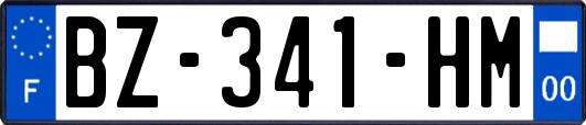 BZ-341-HM