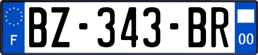 BZ-343-BR