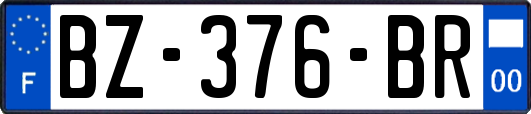 BZ-376-BR