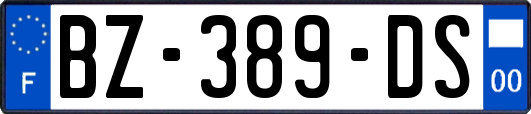 BZ-389-DS