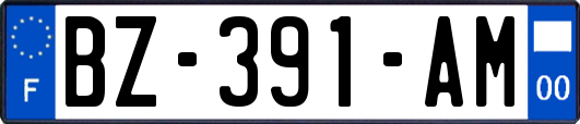 BZ-391-AM