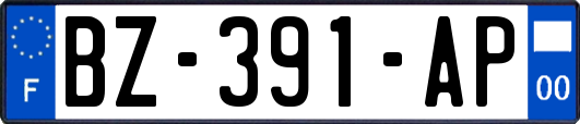 BZ-391-AP