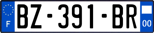 BZ-391-BR