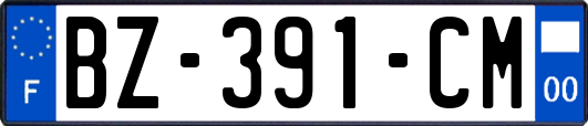 BZ-391-CM