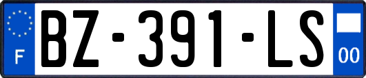 BZ-391-LS