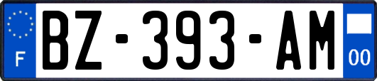 BZ-393-AM