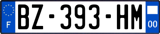 BZ-393-HM