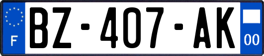 BZ-407-AK