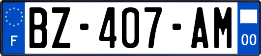 BZ-407-AM