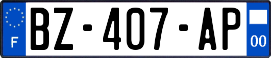 BZ-407-AP