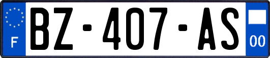 BZ-407-AS