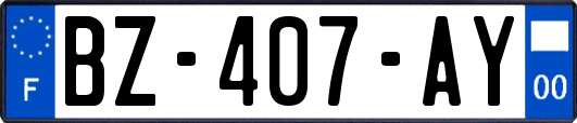 BZ-407-AY