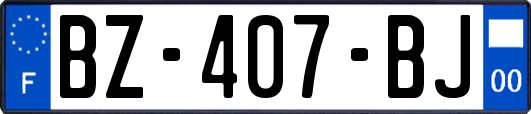 BZ-407-BJ