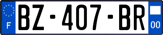 BZ-407-BR