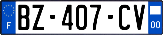 BZ-407-CV