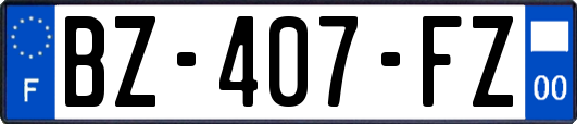 BZ-407-FZ