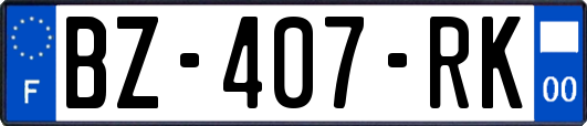 BZ-407-RK