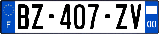 BZ-407-ZV