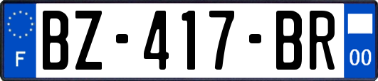 BZ-417-BR